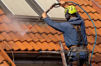 Démoussage et hydrofuge de toiture à la Madeleine-Villefrouin
